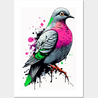 Feral pigeon - Urban Dove - Pigeon Illustration Posters and Art